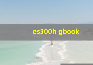 es300h gbook